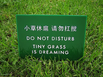 Tiny Grass